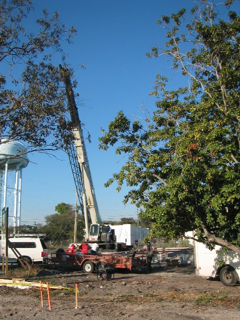 IMG_1266.jpgw480h640