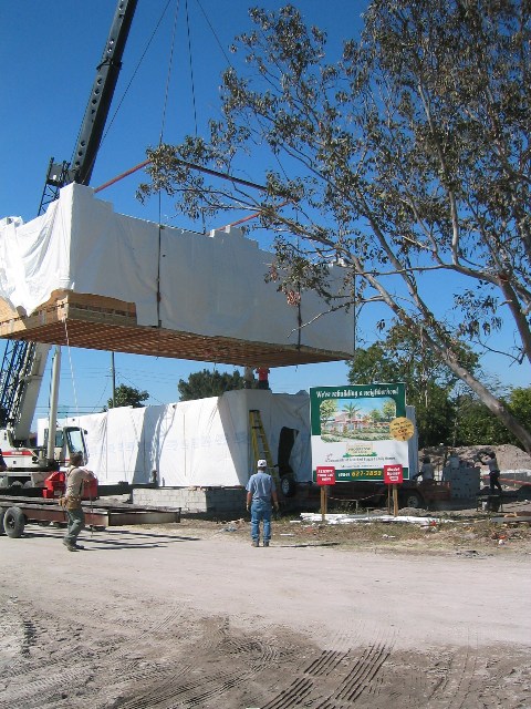 IMG_1340.jpgw480h640