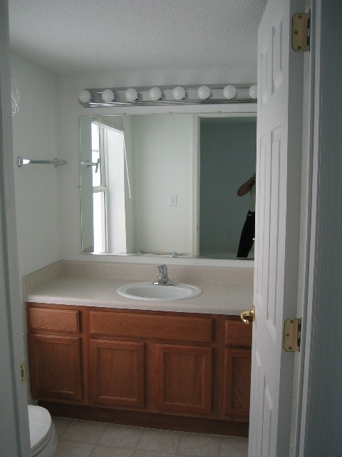 IMG_1488.jpgw480h640